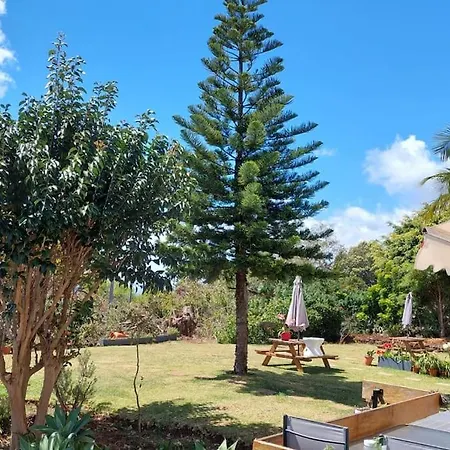Viewpoint Machico - Lovely Nature View Exterior photo