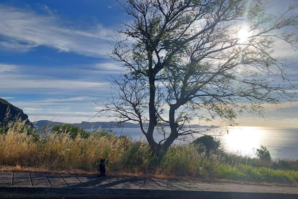 Viewpoint Machico - Lovely Nature View Apartment